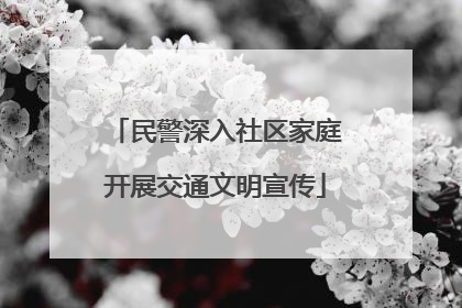 民警深入社区家庭开展交通文明宣传