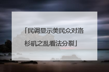 民调显示美民众对洛杉矶之乱看法分裂
