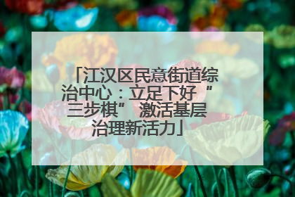 江汉区民意街道综治中心：立足下好“三步棋” 激活基层治理新活力