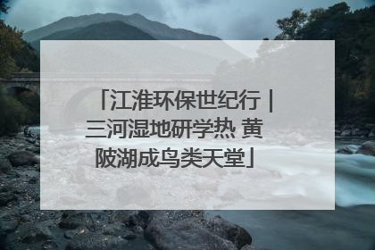 江淮环保世纪行｜三河湿地研学热 黄陂湖成鸟类天堂