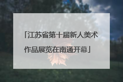 江苏省第十届新人美术作品展览在南通开幕