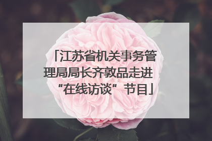 江苏省机关事务管理局局长齐敦品走进“在线访谈”节目