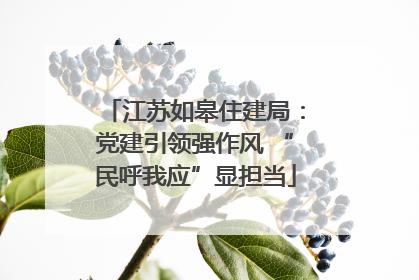 江苏如皋住建局：党建引领强作风 “民呼我应”显担当