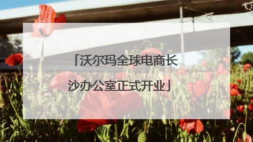 沃尔玛全球电商长沙办公室正式开业