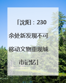 沈阳：230余处新发现不可移动文物重现城市记忆