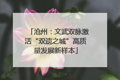 沧州：文武双脉激活“双遗之城”高质量发展新样本