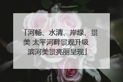 河畅、水清、岸绿、景美 太平河畔景观升级 滨河美景亮丽呈现