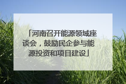 河南召开能源领域座谈会，鼓励民企参与能源投资和项目建设