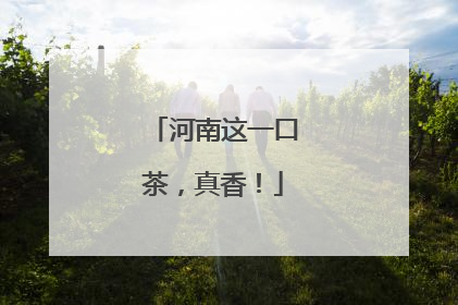 河南这一口茶，真香！