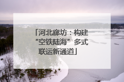 河北廊坊：构建“空铁陆海”多式联运新通道