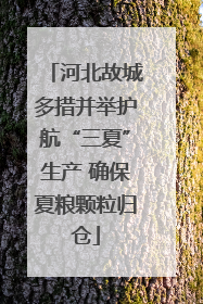 河北故城多措并举护航“三夏”生产 确保夏粮颗粒归仓