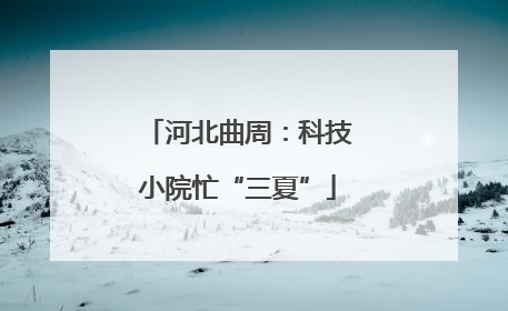 河北曲周：科技小院忙“三夏”