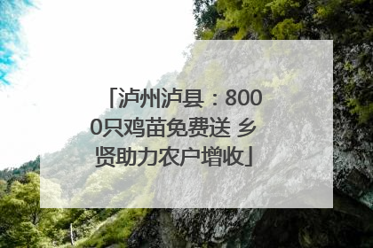 泸州泸县：8000只鸡苗免费送 乡贤助力农户增收