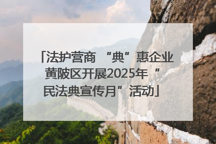 法护营商 “典”惠企业 黄陂区开展2025年“民法典宣传月”活动