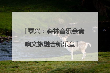 泰兴：森林音乐会奏响文旅融合新乐章