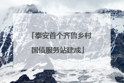 泰安首个齐鲁乡村国债服务站建成