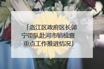洛江区政府区长郭宁带队赴河市镇检查重点工作推进情况
