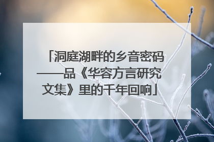 洞庭湖畔的乡音密码——品《华容方言研究文集》里的千年回响