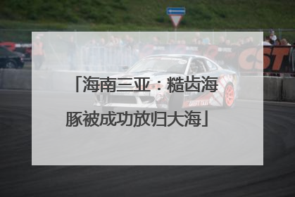 海南三亚：糙齿海豚被成功放归大海