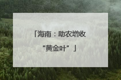 海南：助农增收 “黄金叶”