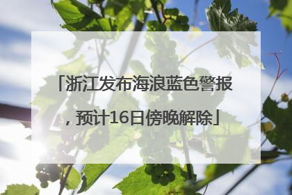 浙江发布海浪蓝色警报，预计16日傍晚解除