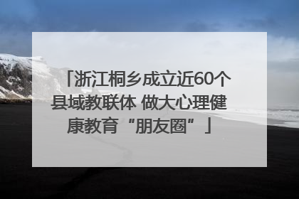 浙江桐乡成立近60个县域教联体 做大心理健康教育“朋友圈”
