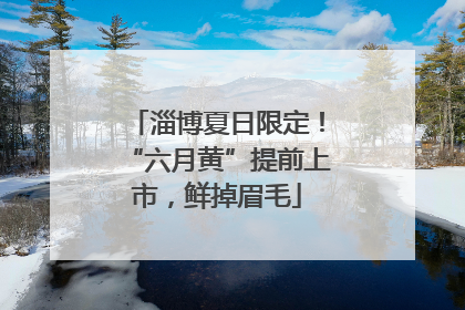 淄博夏日限定！“六月黄”提前上市，鲜掉眉毛