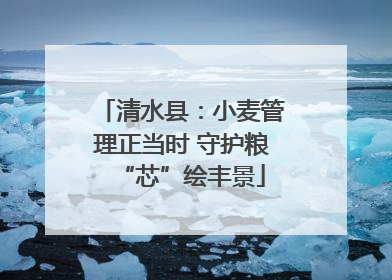 清水县：小麦管理正当时 守护粮“芯”绘丰景