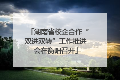 湖南省校企合作“双进双转”工作推进会在衡阳召开