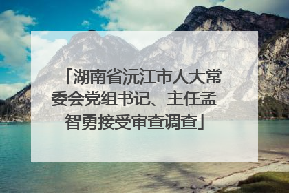 湖南省沅江市人大常委会党组书记、主任孟智勇接受审查调查