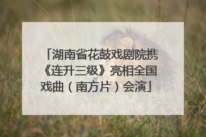 湖南省花鼓戏剧院携《连升三级》亮相全国戏曲（南方片）会演