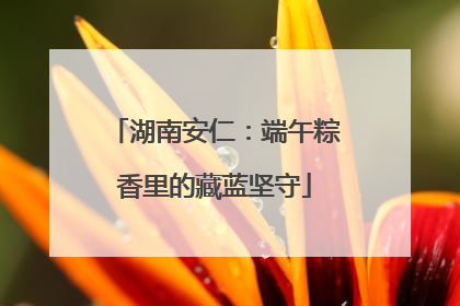 湖南安仁：端午粽香里的藏蓝坚守
