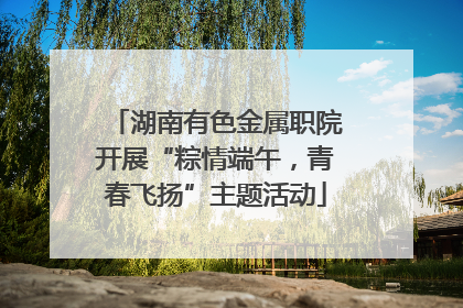 湖南有色金属职院开展“粽情端午，青春飞扬”主题活动
