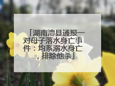 湖南澧县通报一对母子落水身亡事件：均系溺水身亡，排除他杀