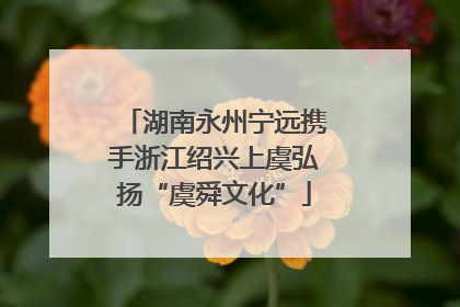 湖南永州宁远携手浙江绍兴上虞弘扬“虞舜文化”