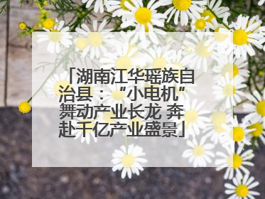 湖南江华瑶族自治县：“小电机”舞动产业长龙 奔赴千亿产业盛景