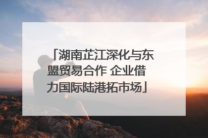 湖南芷江深化与东盟贸易合作 企业借力国际陆港拓市场