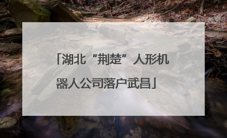 湖北“荆楚”人形机器人公司落户武昌