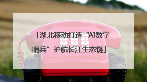 湖北移动打造“AI数字哨兵”护航长江生态链