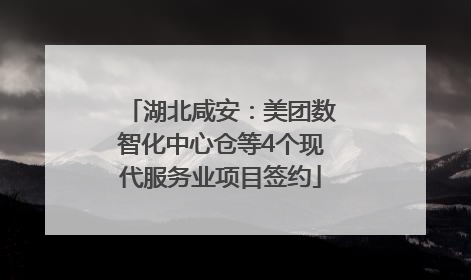 湖北咸安：美团数智化中心仓等4个现代服务业项目签约