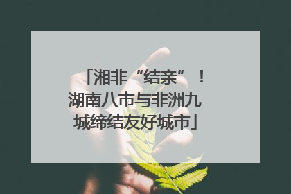 湘非“结亲”！湖南八市与非洲九城缔结友好城市