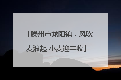 滕州市龙阳镇：风吹麦浪起 小麦迎丰收