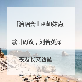 演唱会上两姐妹点歌引热议，刘若英深夜发长文致歉