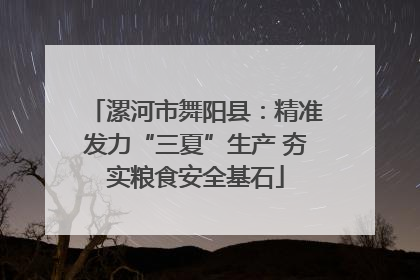 漯河市舞阳县：精准发力“三夏”生产 夯实粮食安全基石