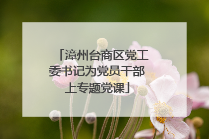 漳州台商区党工委书记为党员干部上专题党课