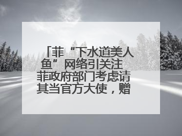 菲“下水道美人鱼”网络引关注 菲政府部门考虑请其当官方大使，赠现金开店