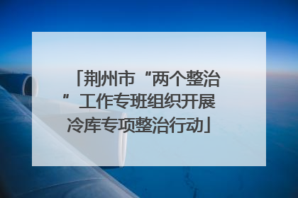 荆州市“两个整治”工作专班组织开展冷库专项整治行动