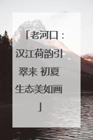 老河口：汉江荷韵引翠来 初夏生态美如画