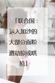 联合国：运入加沙的大部分面粉遭劫掠或哄抢