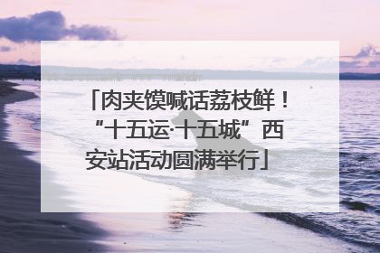 肉夹馍喊话荔枝鲜！“十五运·十五城”西安站活动圆满举行